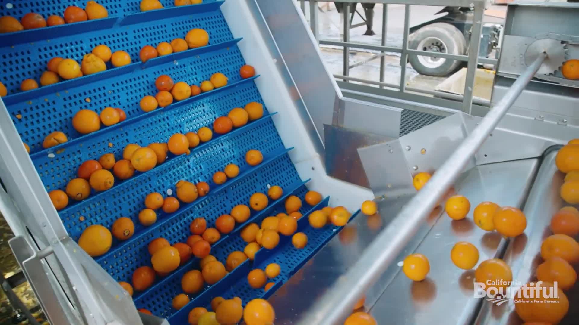 "Fruit Upcycling in the Central Valley"