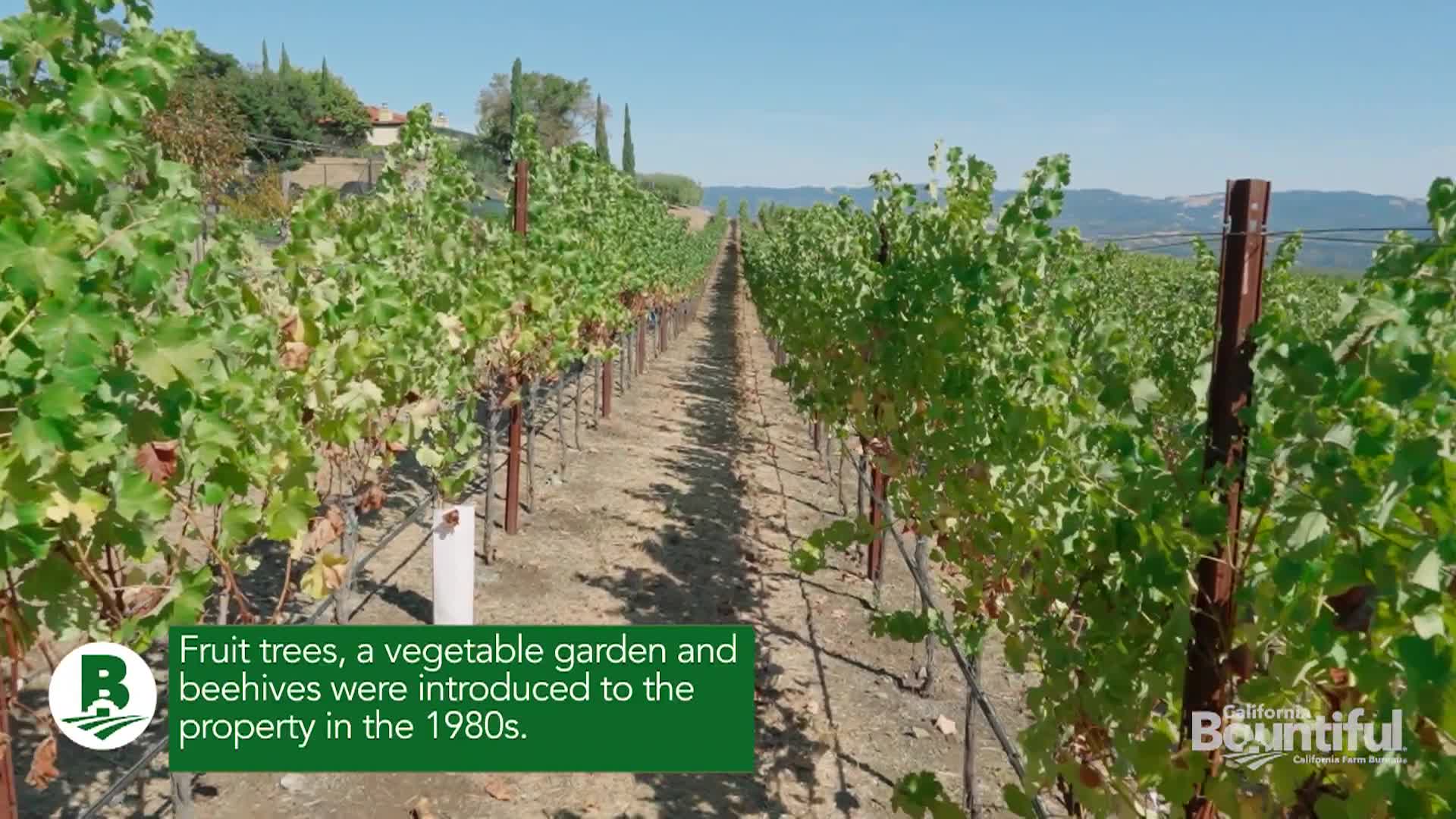 California Bountiful