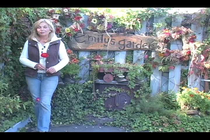 Emily's Garden
