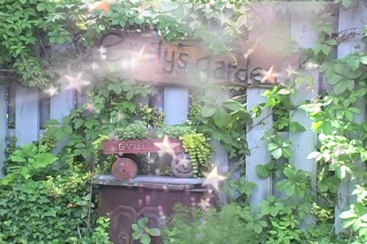 Emily's Garden