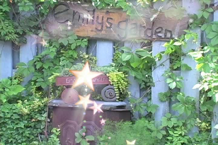 Emily's Garden