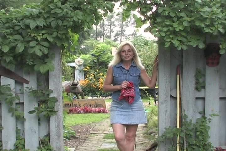 Emily's Garden