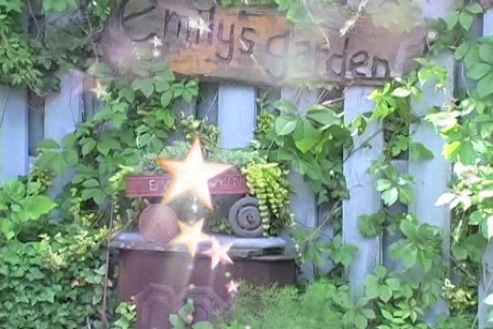 Emily's Garden