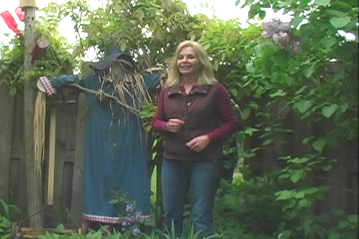 Emily's Garden