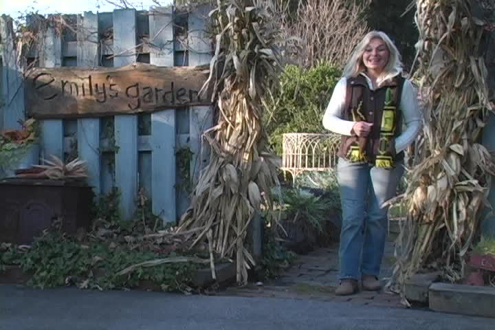 Emily's Garden