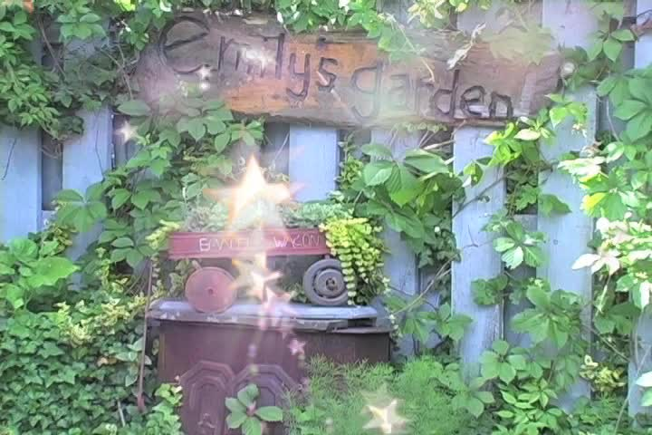 Emily's Garden
