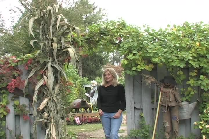 Emily's Garden