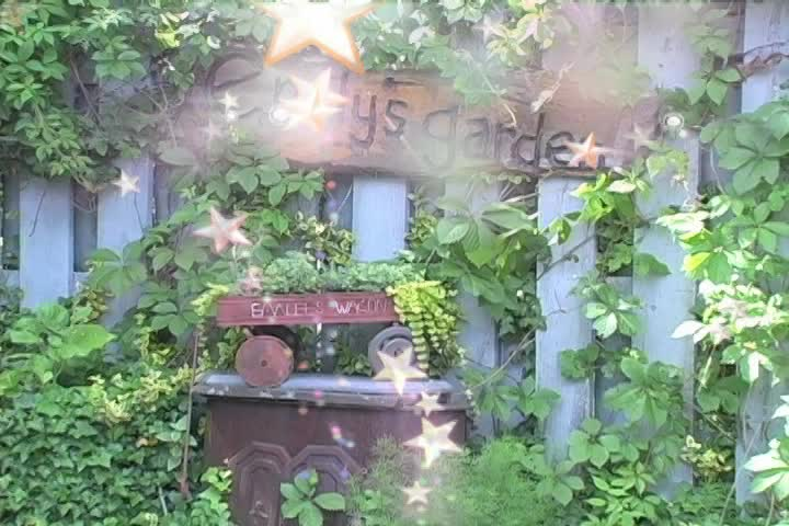 Emily's Garden