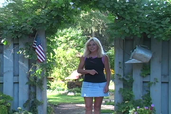 Emily's Garden