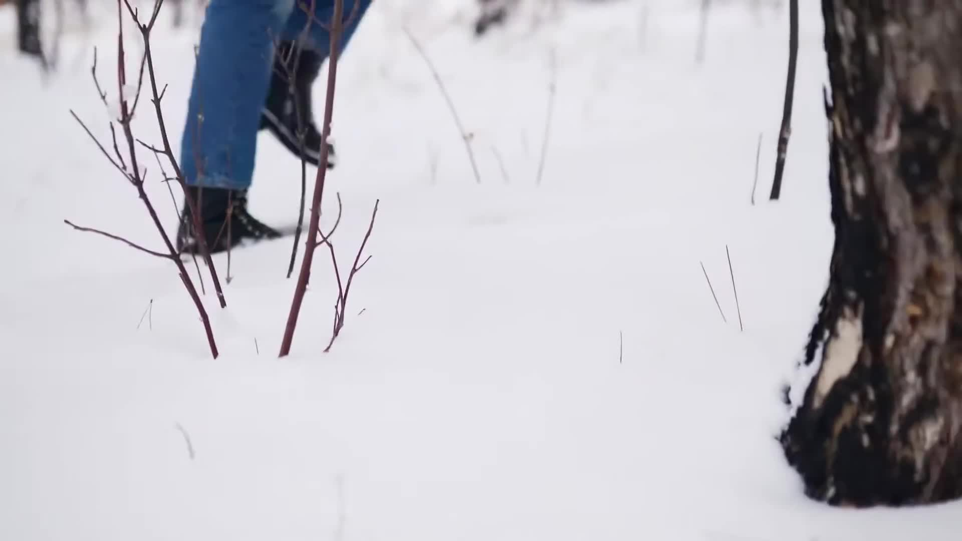 "World's 7 Most Beautiful Christmas Towns"