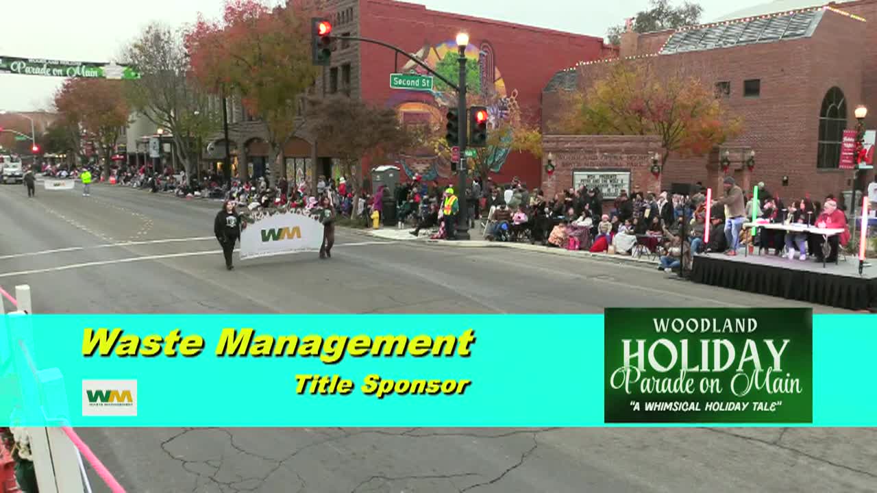 "A Whimsical Holiday Tale"