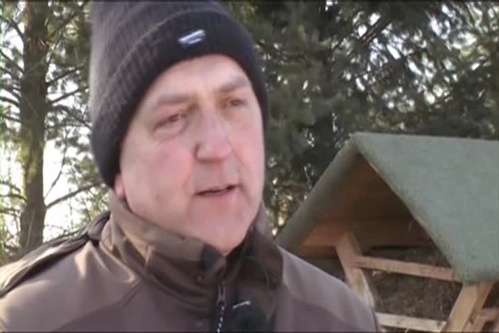 Helping Animals, Saving Lives:  "Help for Wild Animals in Winter"