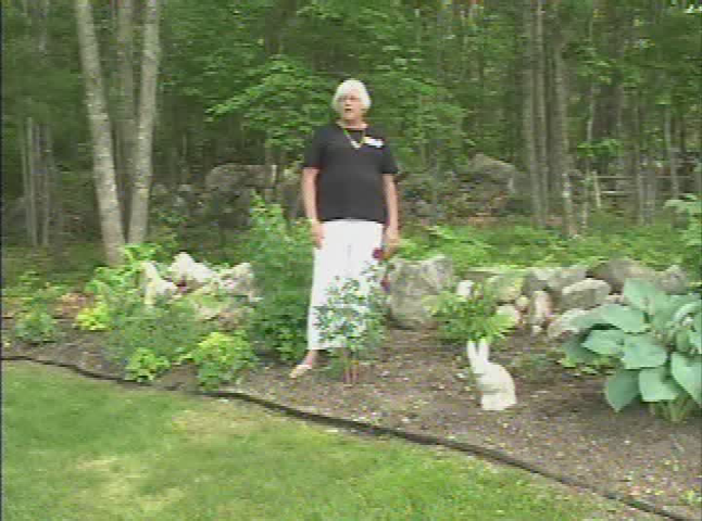 Belfast Garden Tour: Orland