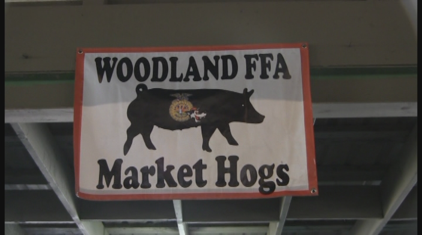 Yolo County Fair: FFA Exhibits & Kiddy Rides on Carnival Midway (2015)