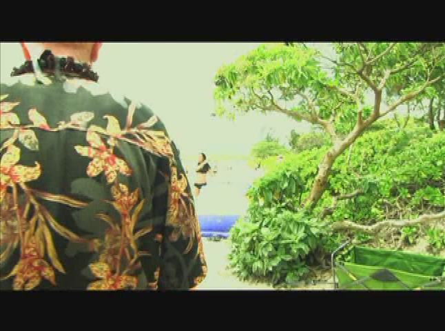 Hawaii Scenes & History: "Catching Waves,  Changing Lives"